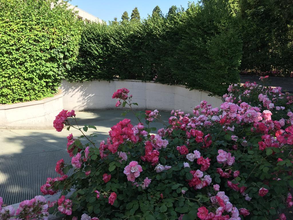 Hotel Motel Ascot Лиссоне Экстерьер фото
