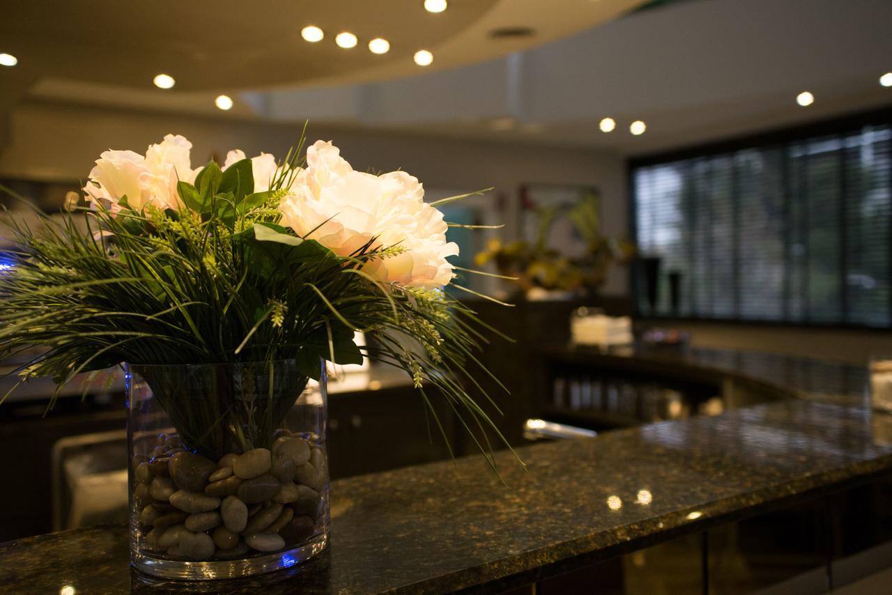 Hotel Motel Ascot Лиссоне Экстерьер фото